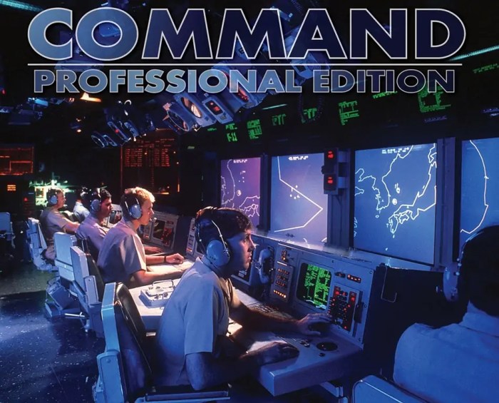 Command sim flexibility matrixgames